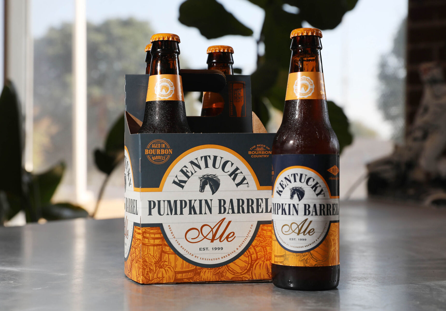 Oktoberfest beers